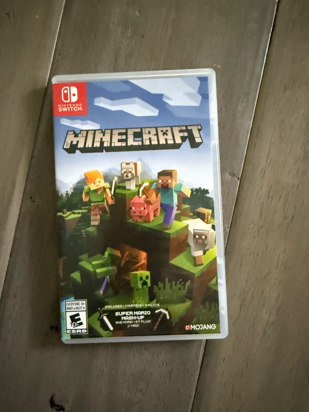 Nintendo Switch Minecraft - Blue & Green Cover Art